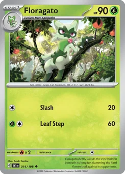 Floragato Pokemon card from Scarlet & Violet, card number 14