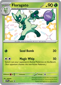 Floragato Pokemon card from Scarlet & Violet Black Star Promos, card number 77